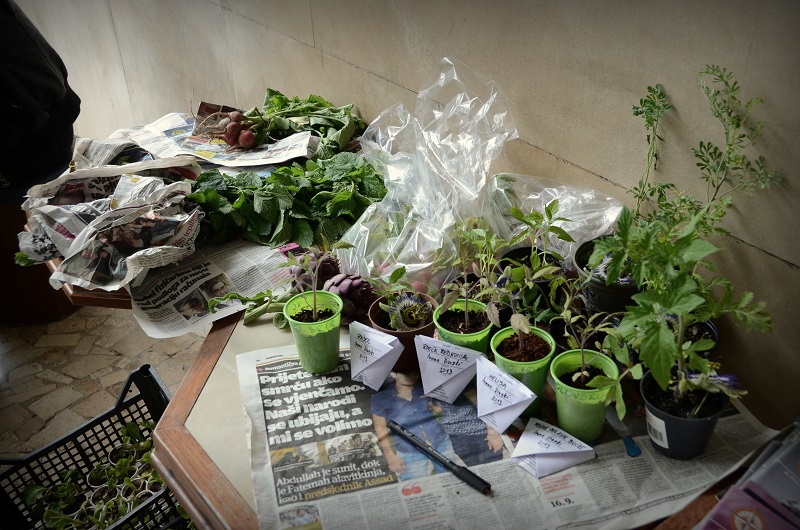 Zaključek poletja na Semškem placu 2025